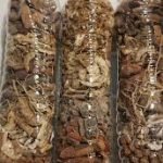 Jedi Roots for washing and setting.25usd per bottle