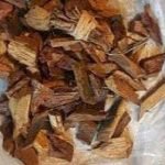 Dogoyaro Tree Barks for all types of spiritual work 25 usd per park