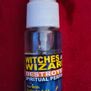Witches & Wizards Destroyer